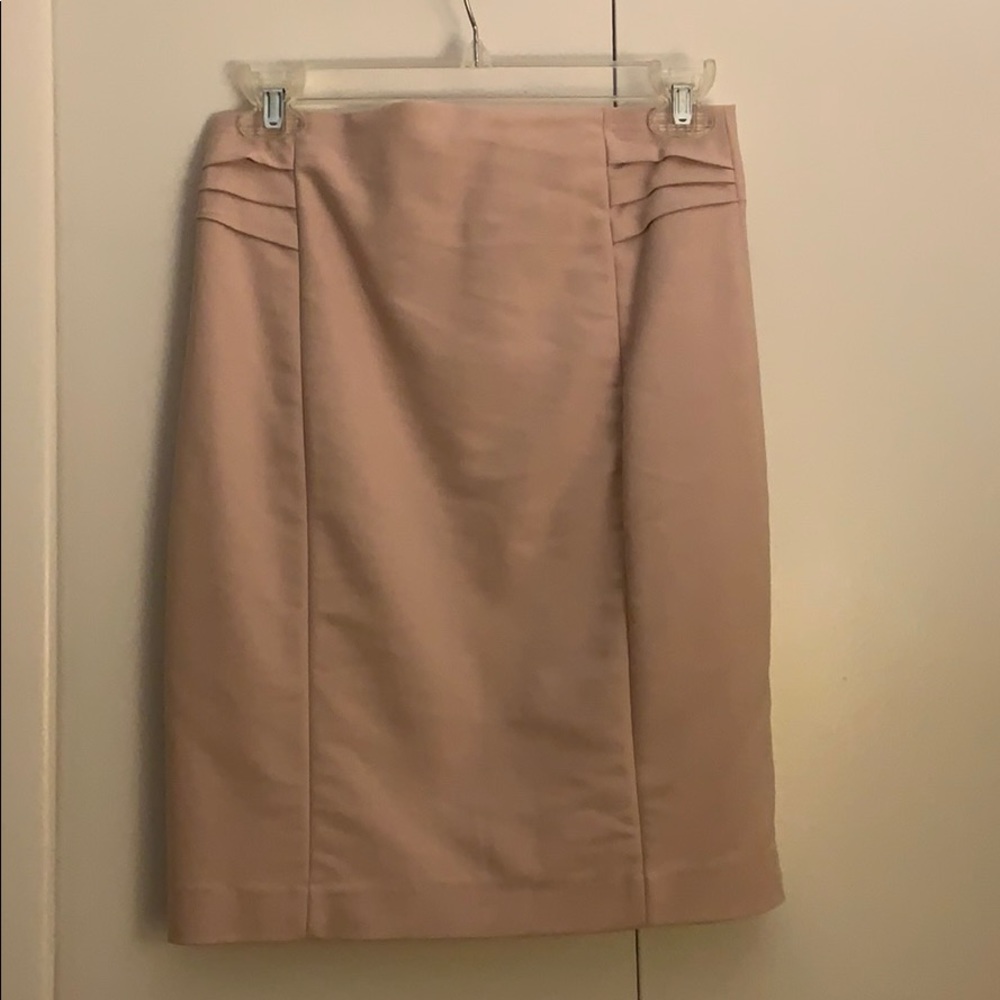 Express Pencil Skirt